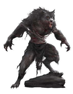 Werewolf Transformation Grim Hollow