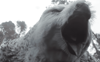 What The Owlbear & Druid Debate Misses About Monstrosities